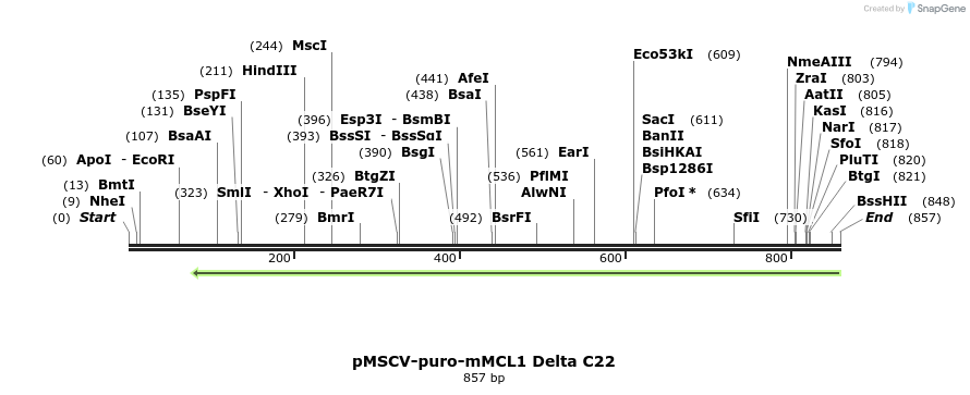 67561_map