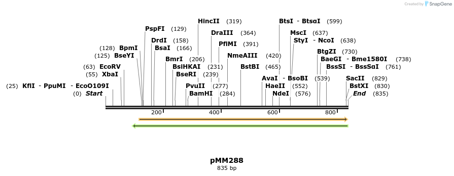 67565_map