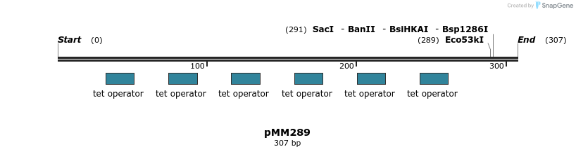67570_map