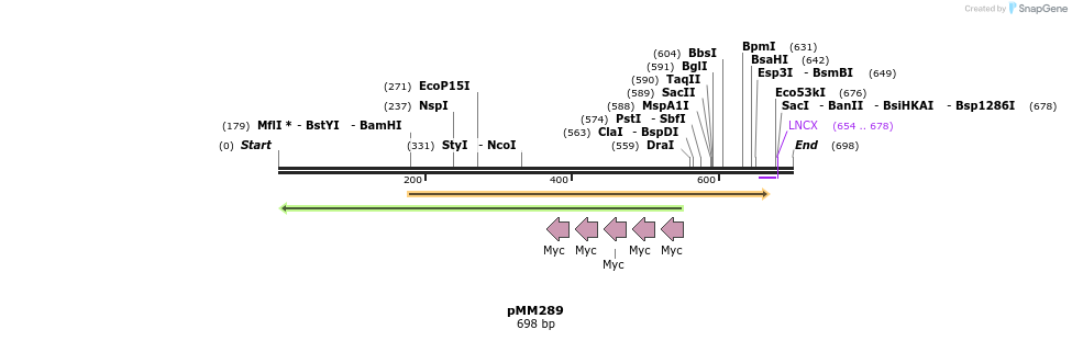 67572_map