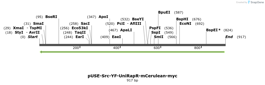 67575_map