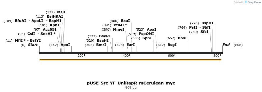 67577_map