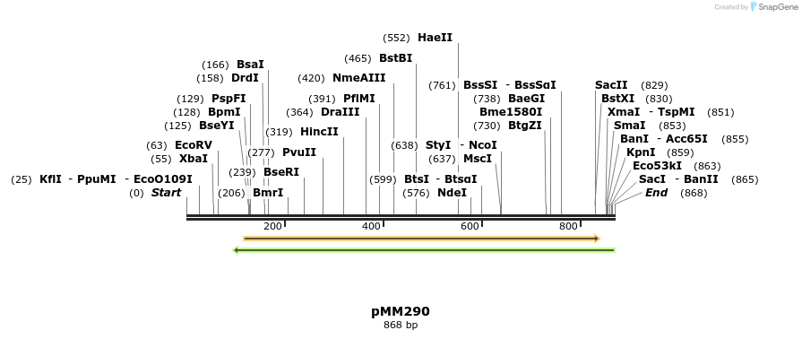 67578_map
