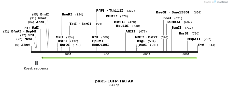 67582_map