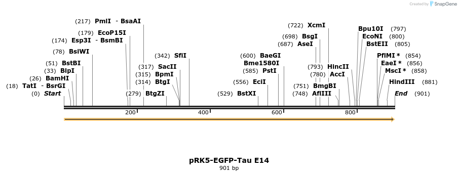 67589_map