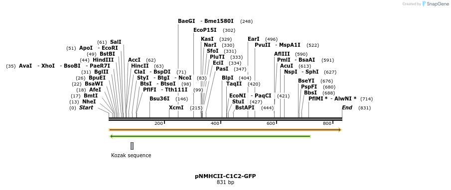 67590_map