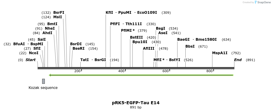 67591_map
