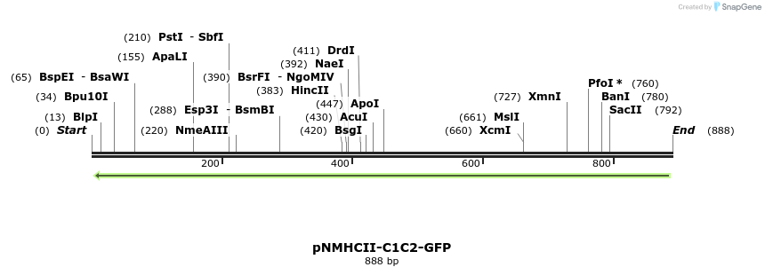 67592_map