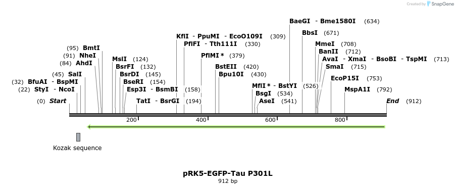 67595_map