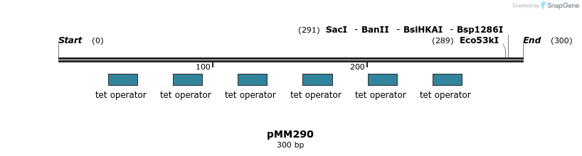 67596_map