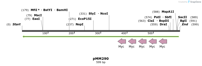 67597_map