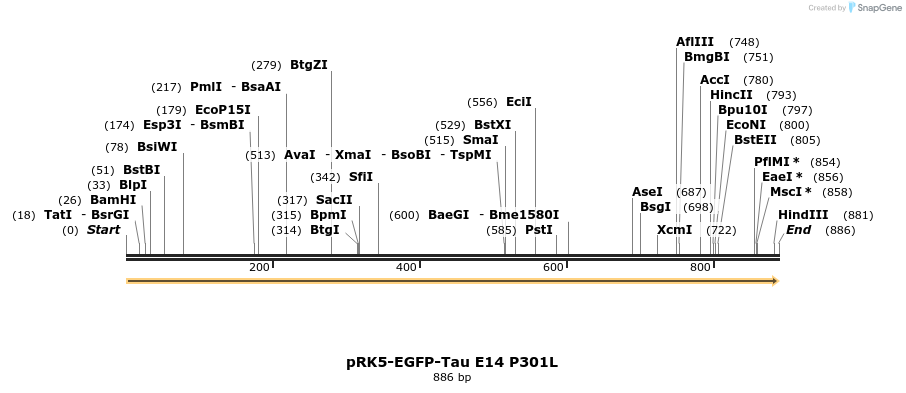67598_map
