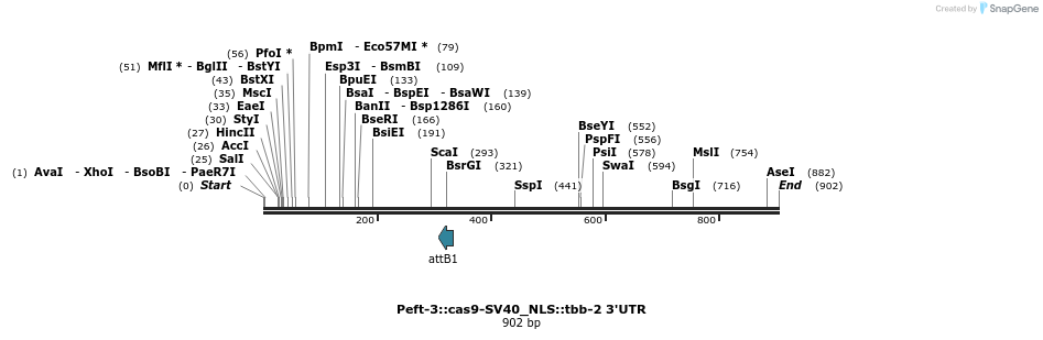 67616_map