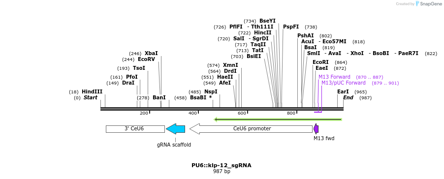 67618_map