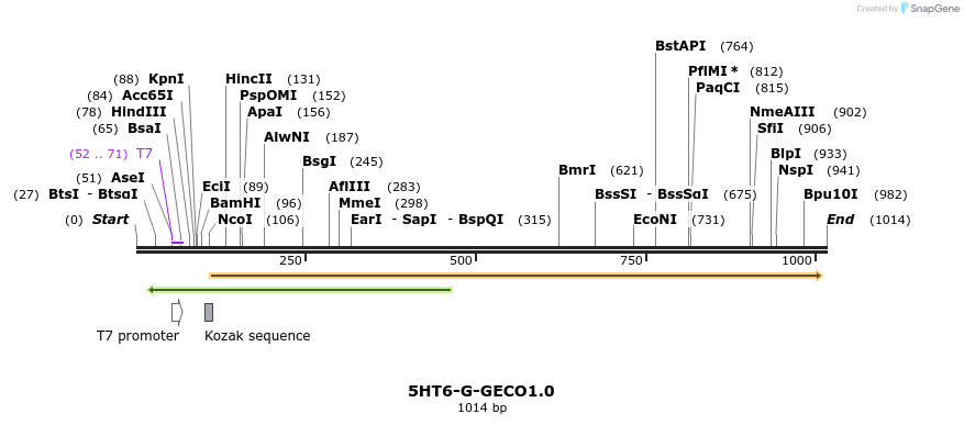 67623_map