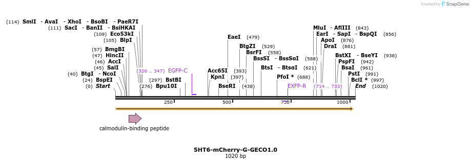 67624_map
