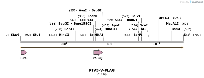 67629_map
