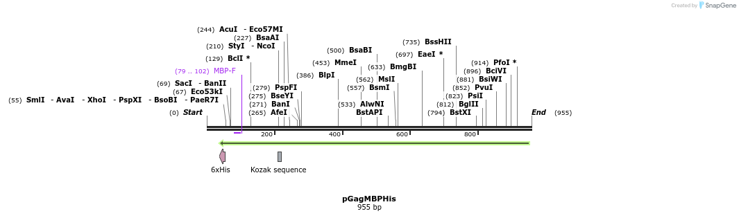 67646_map