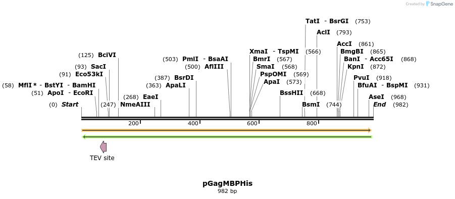 67647_map