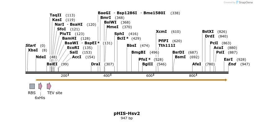 67649_map