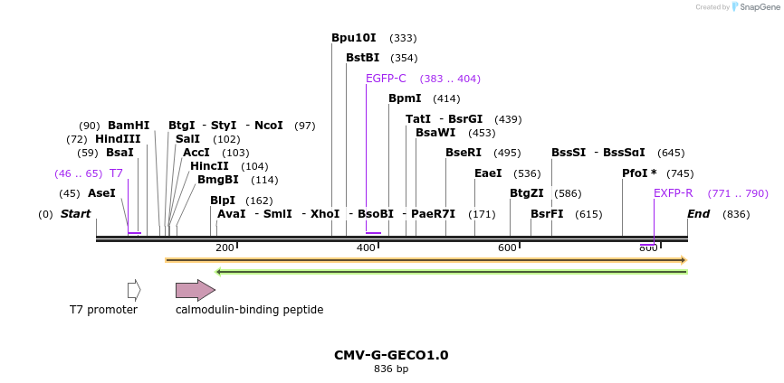 67650_map