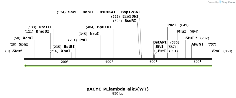 67651_map
