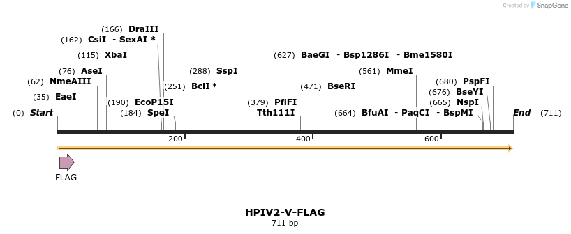 67652_map