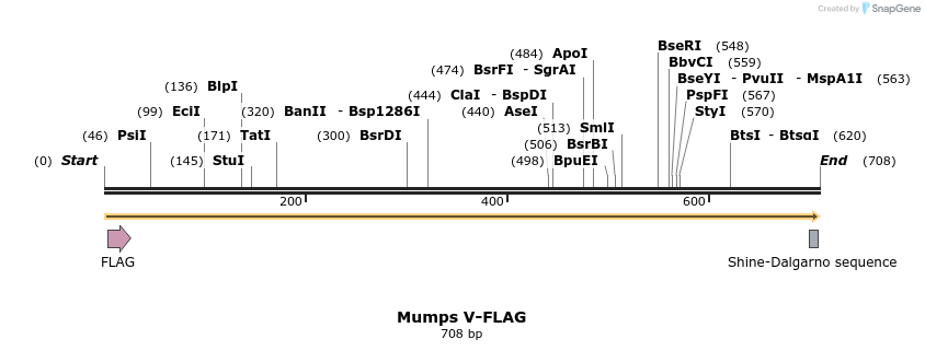 67653_map