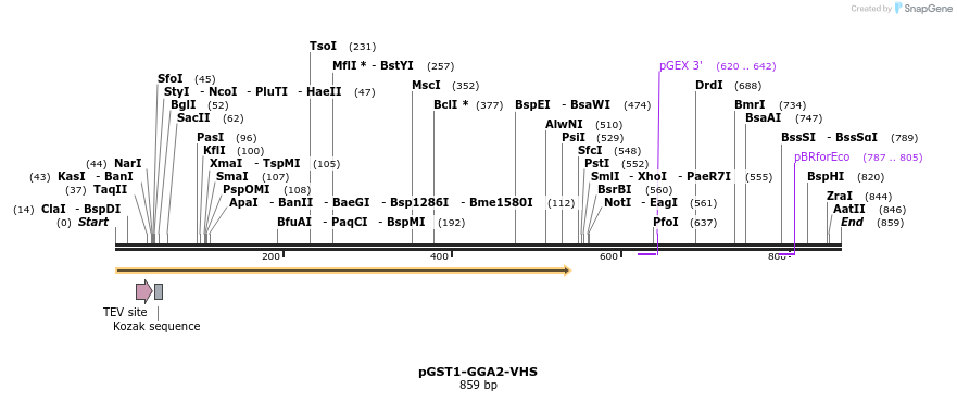 67658_map