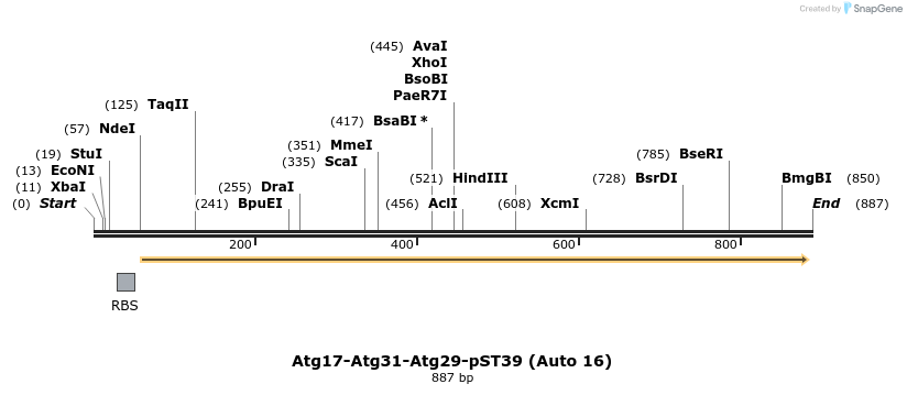 67664_map