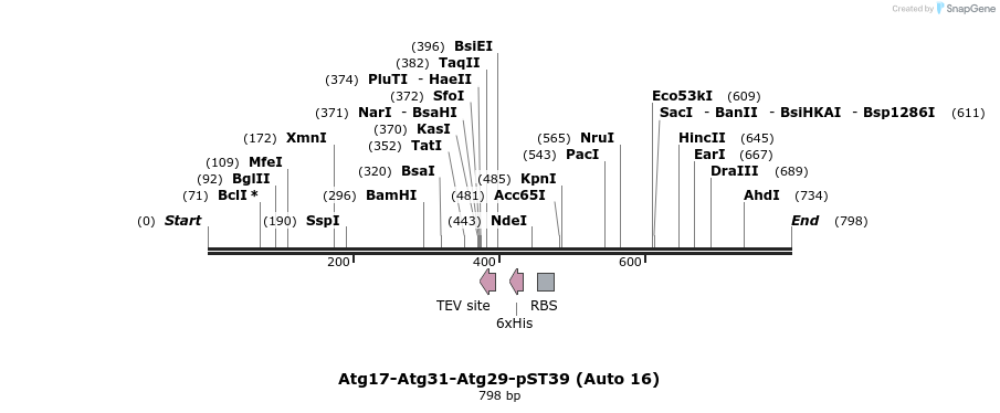 67665_map