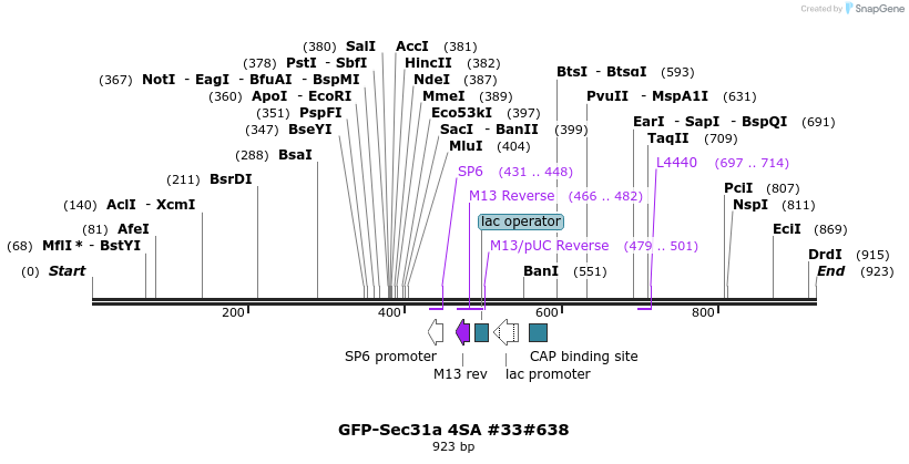 67684_map