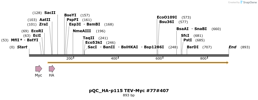 67686_map