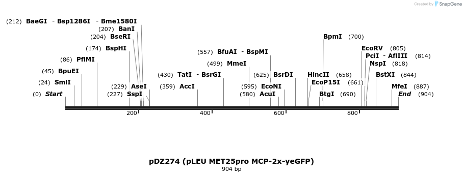 67690_map