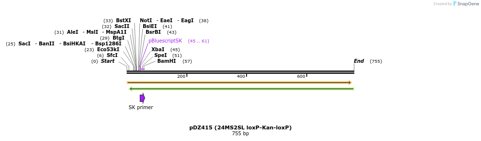 67691_map