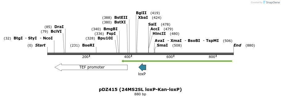 67693_map