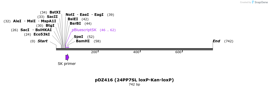 67697_map