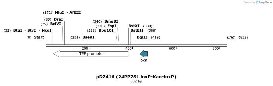 67705_map
