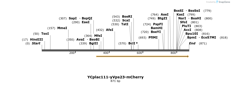 67706_map
