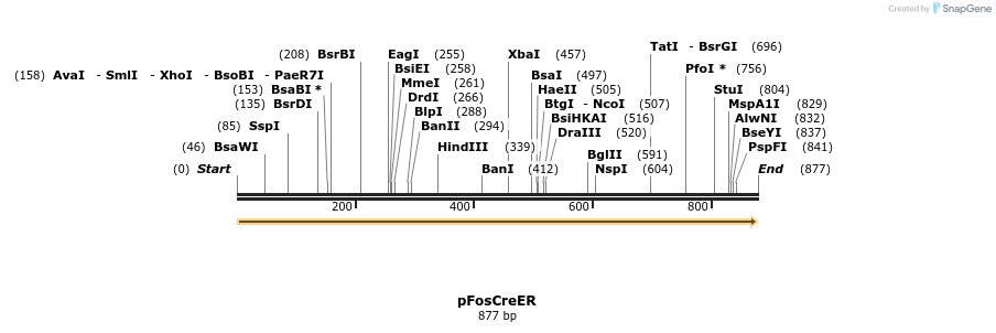 67709_map