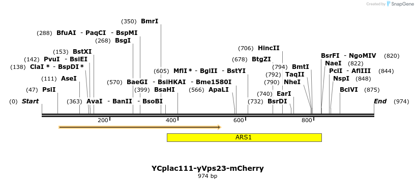 67713_map