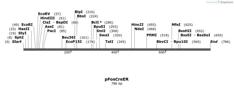 67715_map