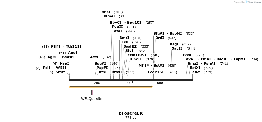 67716_map