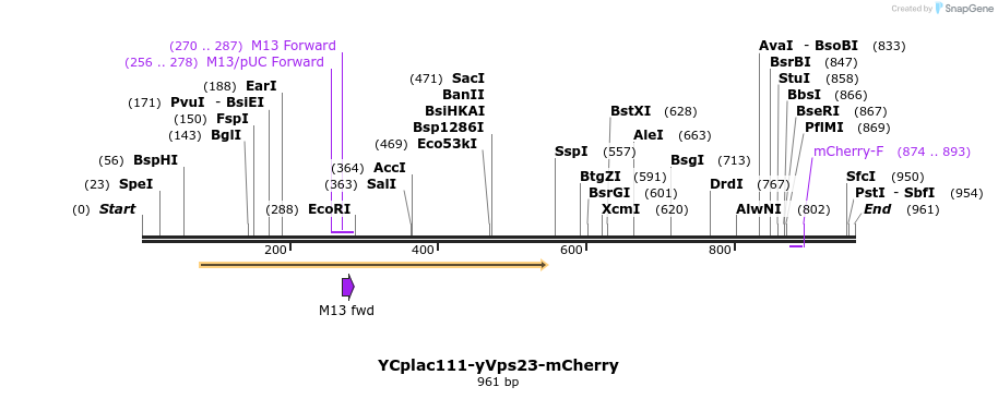 67719_map