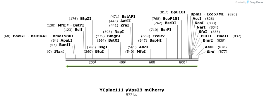 67723_map