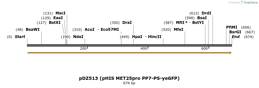 67724_map