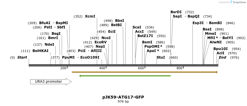 67727_map