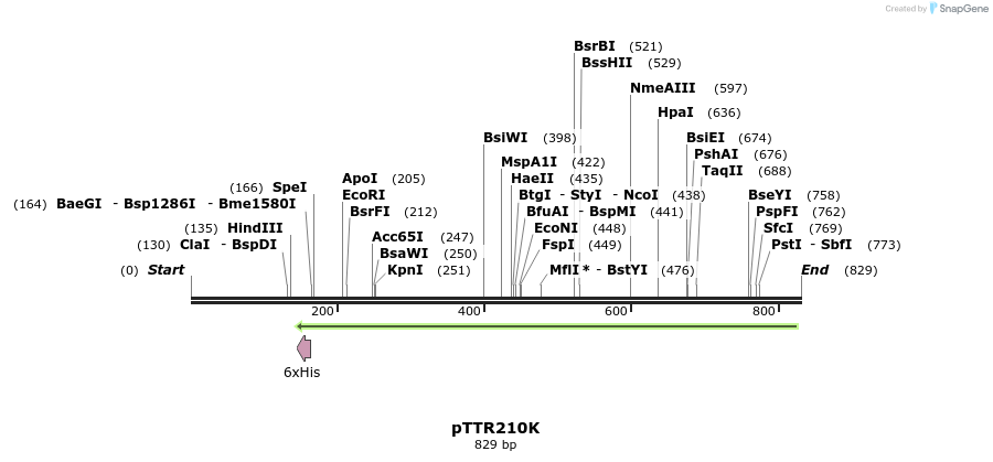 67731_map