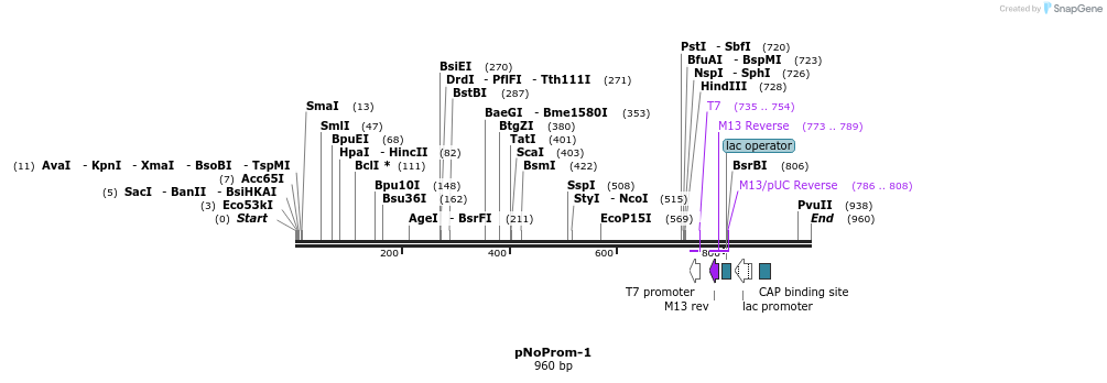 67732_map
