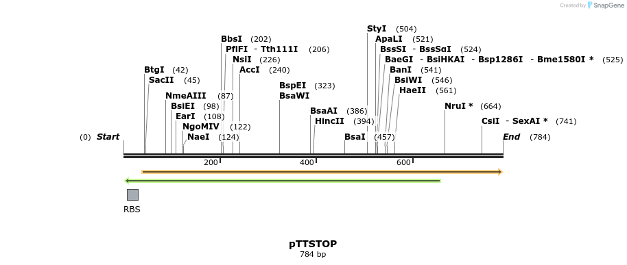 67733_map